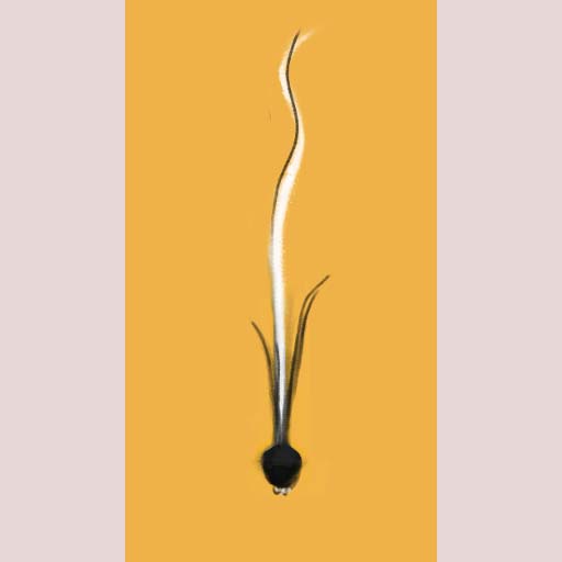 Erotic painting, onion-spermatozoon, painting, art, Nicholaas Chiao